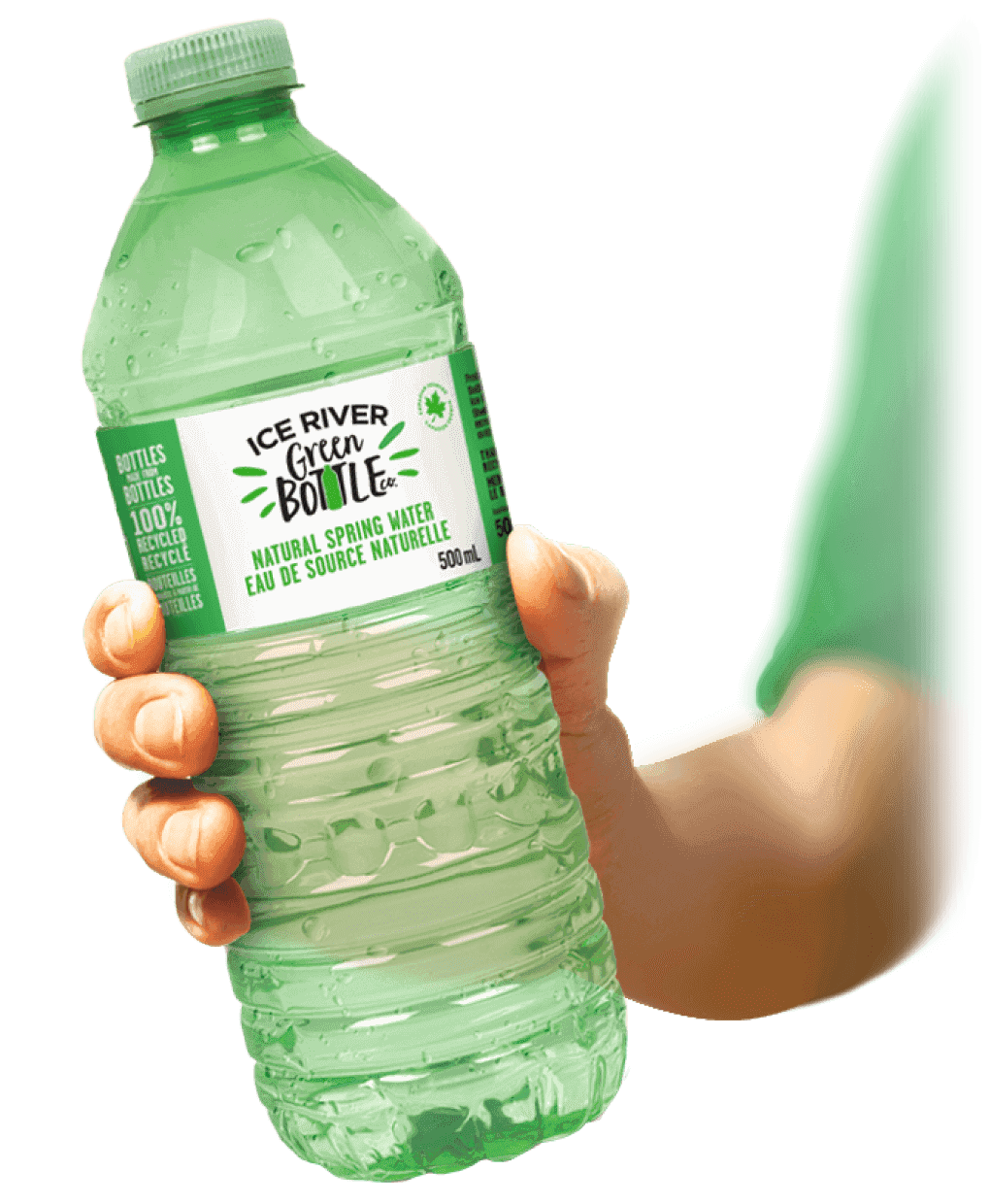 Why we should not drink from plastic bottles? - The Green Page